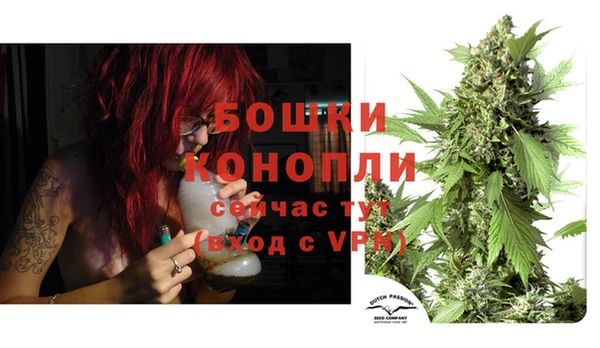 гидра Михайловск
