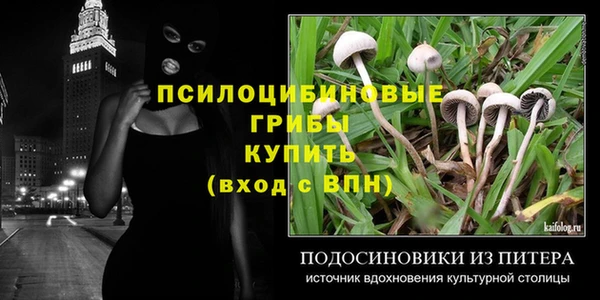 гидра Михайловск