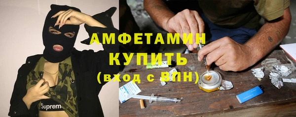 гидра Михайловск
