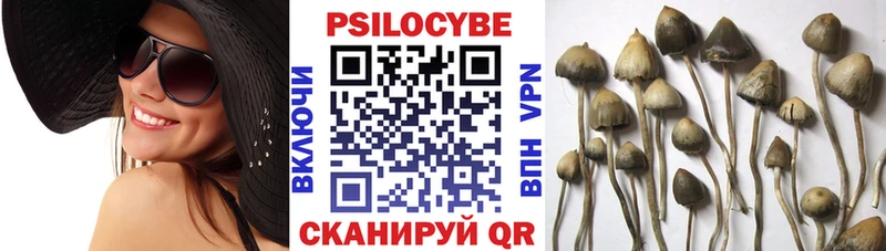 Галлюциногенные грибы Cubensis  Никольское 