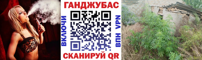 Канабис конопля  mega ТОР  Никольское  купить  
