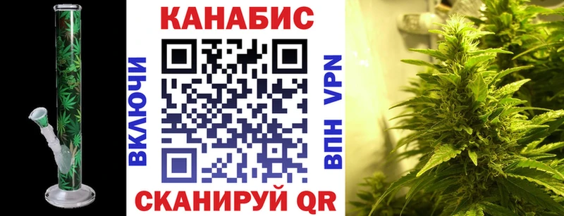 Канабис сатива Никольское